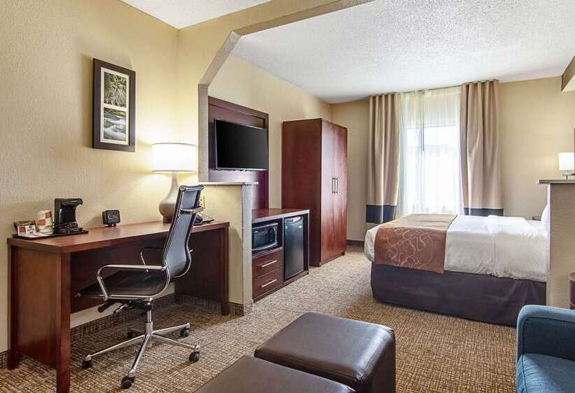 فندق Comfort Suites Knoxville Airport