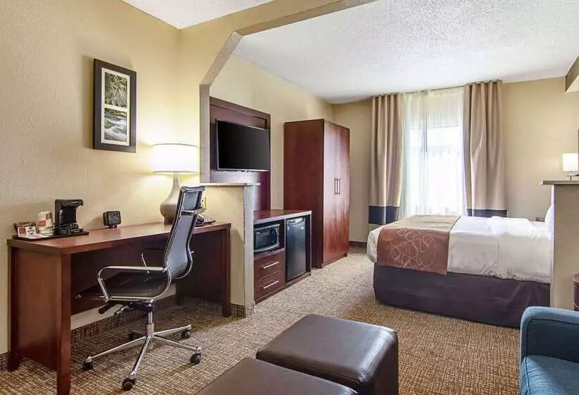 فندق Comfort Suites Knoxville Airport