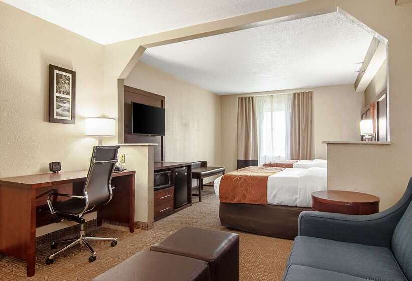 فندق Comfort Suites Knoxville Airport