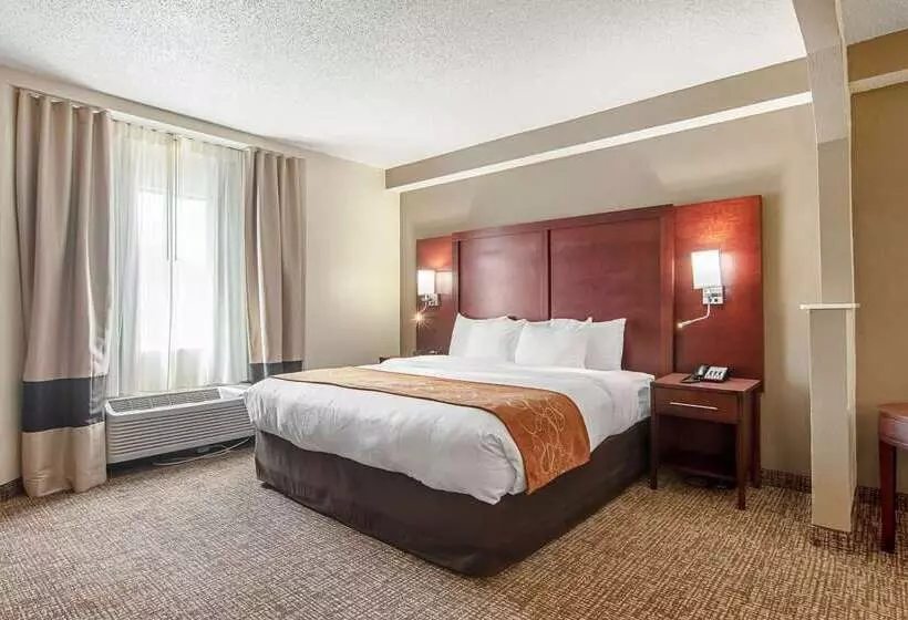 فندق Comfort Suites Knoxville Airport