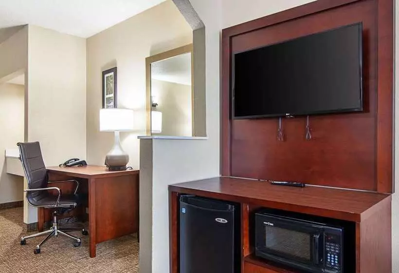 فندق Comfort Suites Knoxville Airport