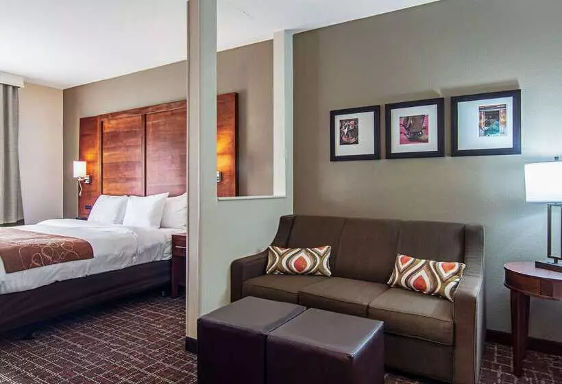 Otel Comfort Suites Nw Dallas Near Love Field