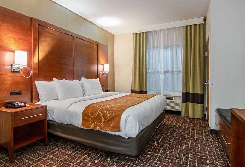فندق Comfort Suites Nw Dallas Near Love Field