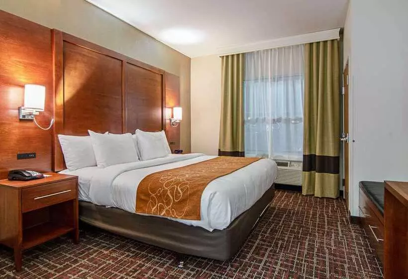 Otel Comfort Suites Nw Dallas Near Love Field