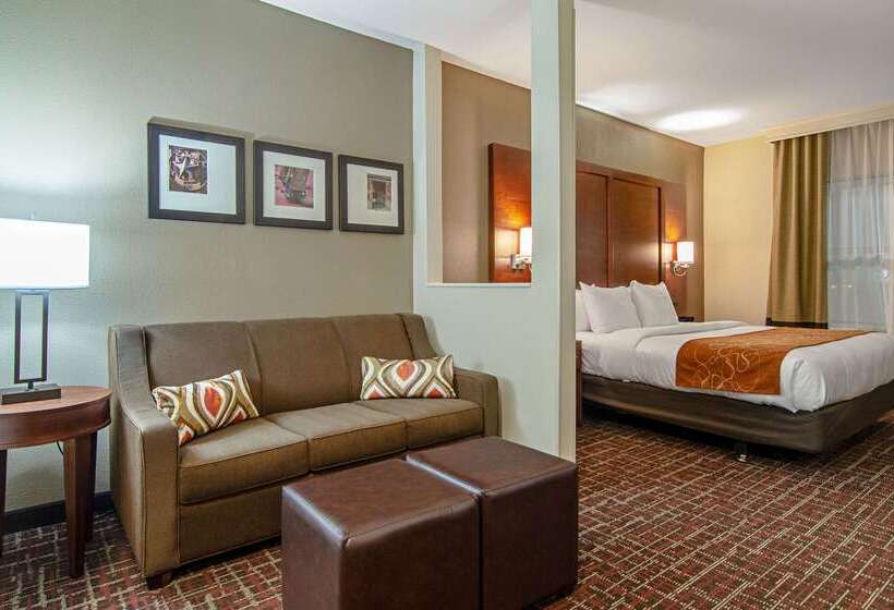 فندق Comfort Suites Nw Dallas Near Love Field