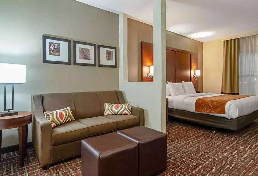 Otel Comfort Suites Nw Dallas Near Love Field