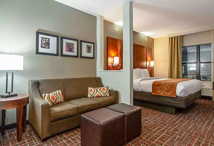 Otel Comfort Suites Nw Dallas Near Love Field