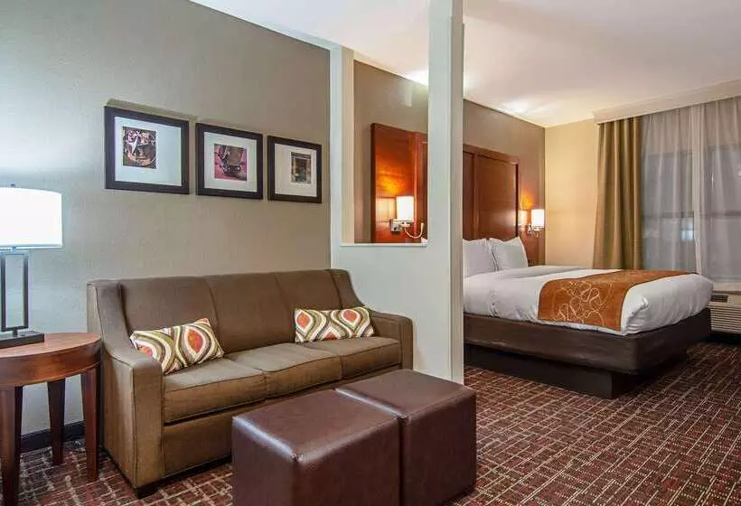 Otel Comfort Suites Nw Dallas Near Love Field