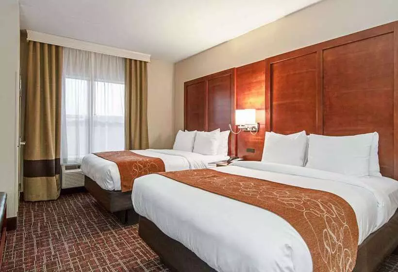 Otel Comfort Suites Nw Dallas Near Love Field