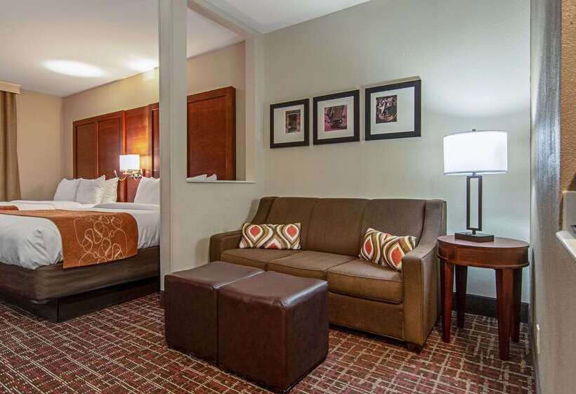 فندق Comfort Suites Nw Dallas Near Love Field