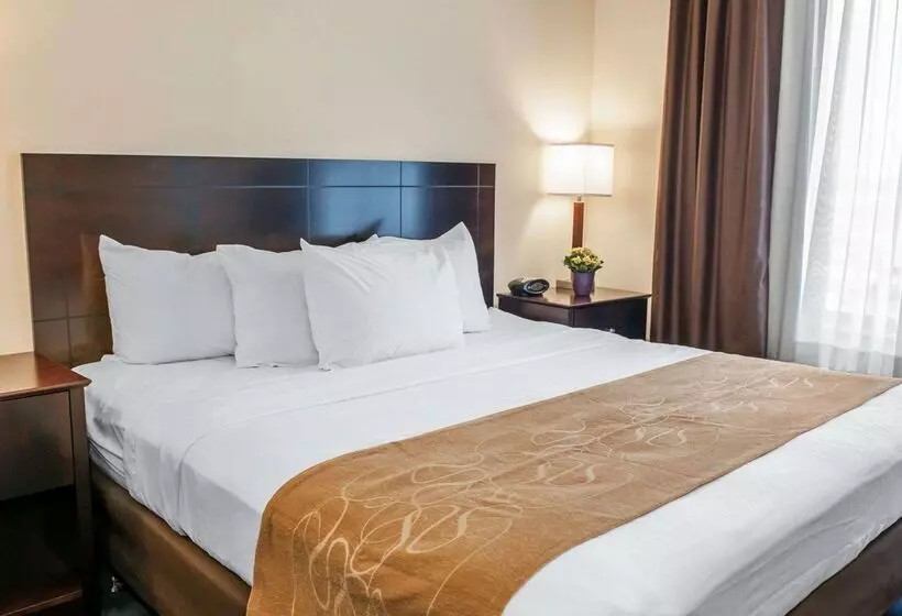 ホテル Comfort Suites Fort Wayne   Southwest