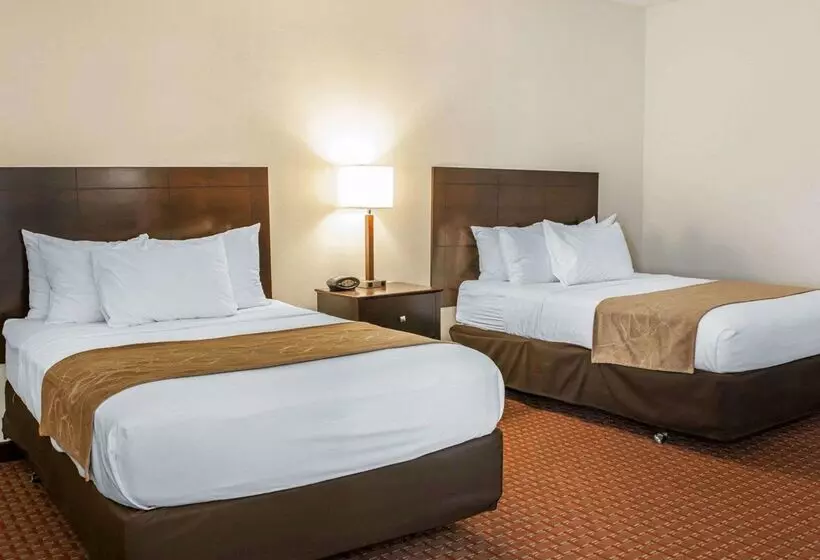 ホテル Comfort Suites Fort Wayne   Southwest