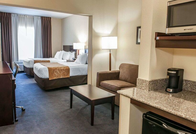 فندق Comfort Suites Fort Wayne   Southwest