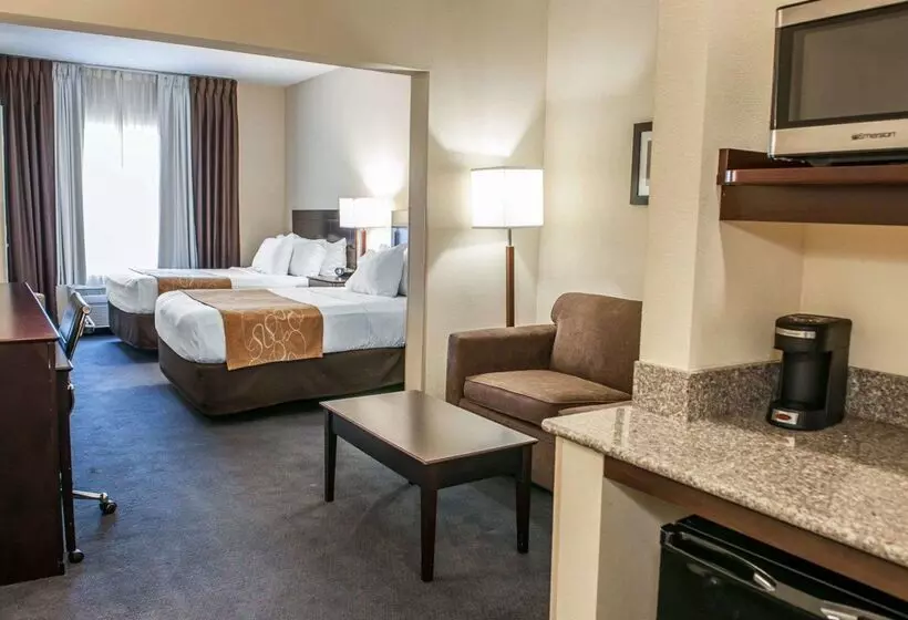 ホテル Comfort Suites Fort Wayne   Southwest