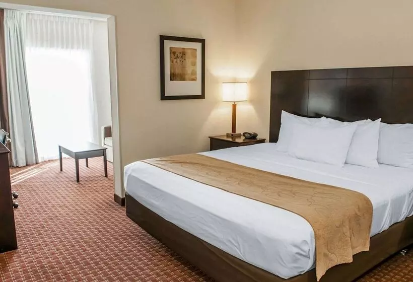 ホテル Comfort Suites Fort Wayne   Southwest