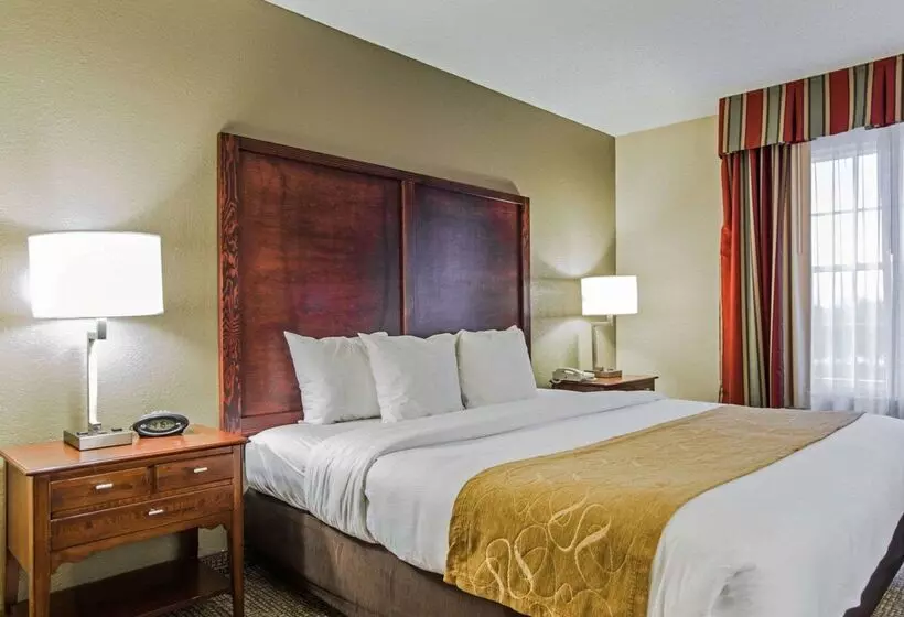 Отель Comfort Suites