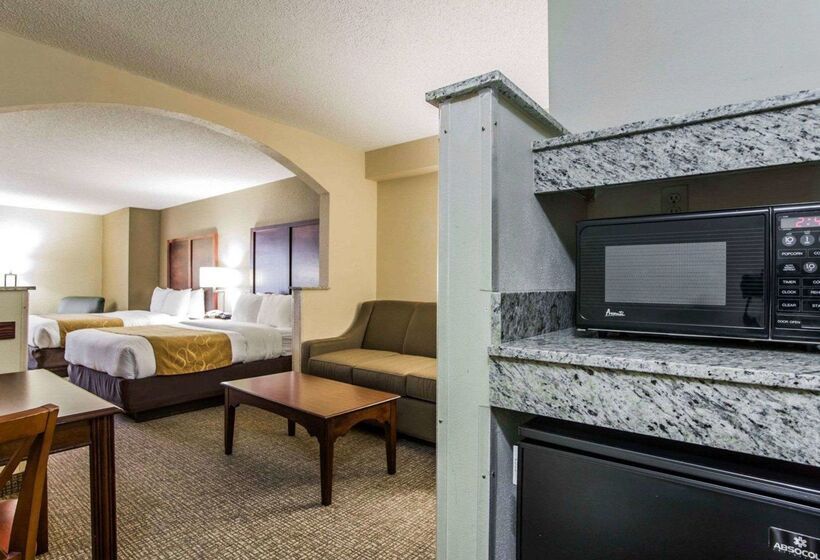 酒店 Comfort Suites