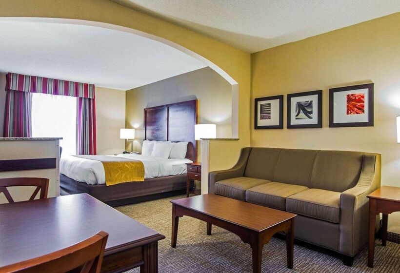 酒店 Comfort Suites