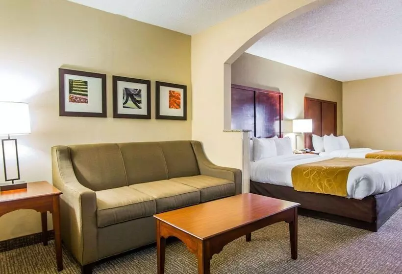Отель Comfort Suites