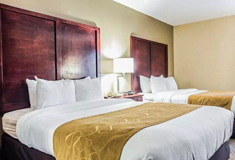 Отель Comfort Suites