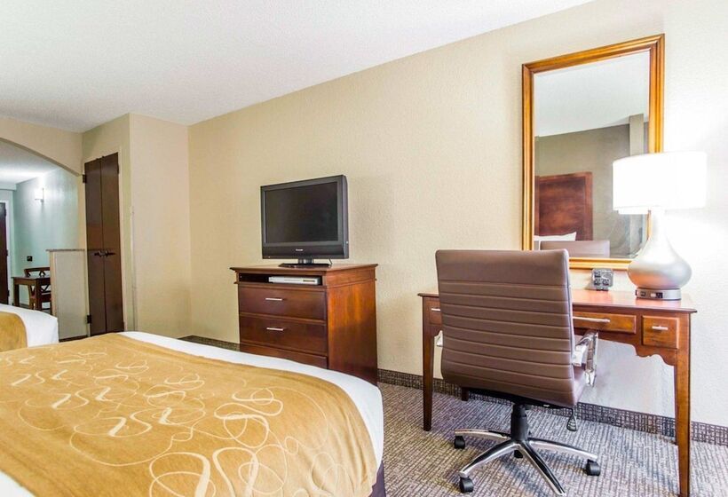 酒店 Comfort Suites