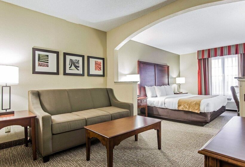 酒店 Comfort Suites