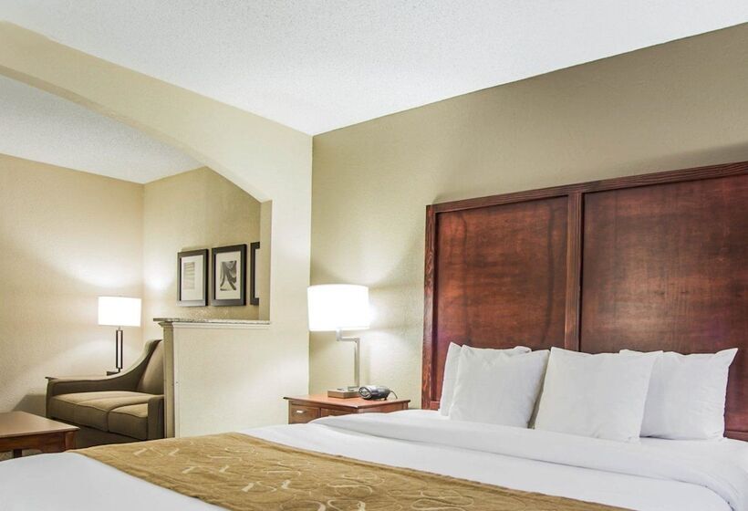 酒店 Comfort Suites