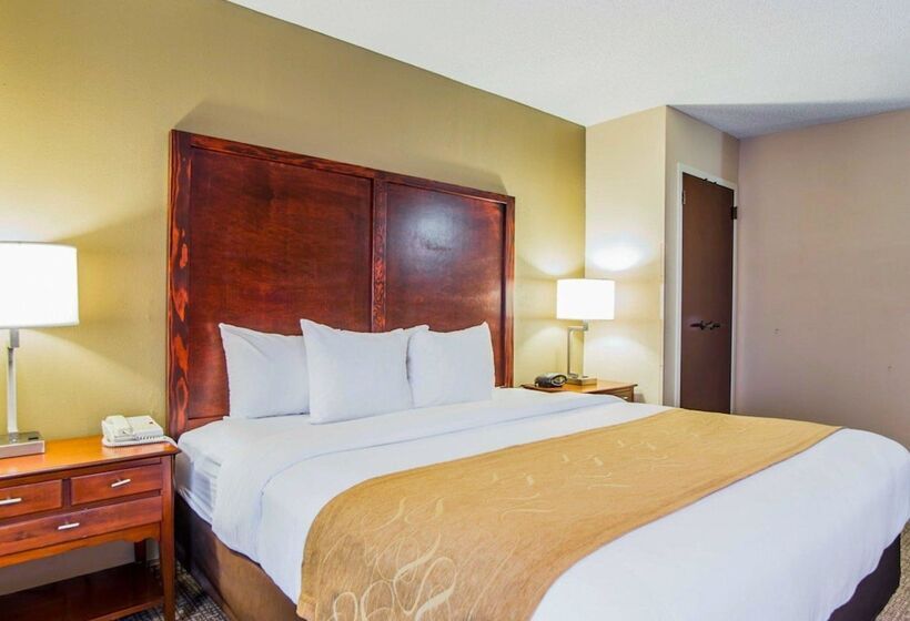 酒店 Comfort Suites