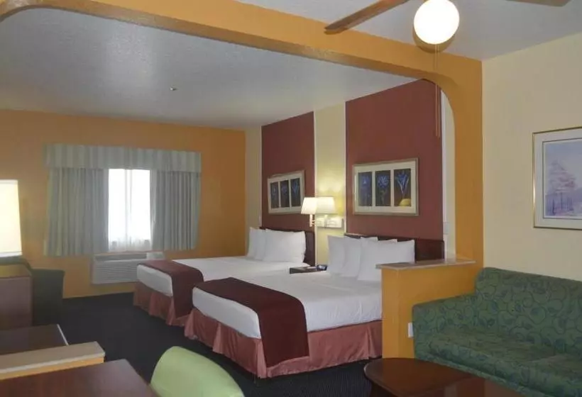 בית מלון כפרי Howard Johnson By Wyndham San Antonio & Suites