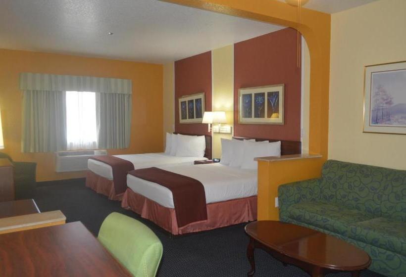 酒店 Howard Johnson By Wyndham San Antonio  & Suites