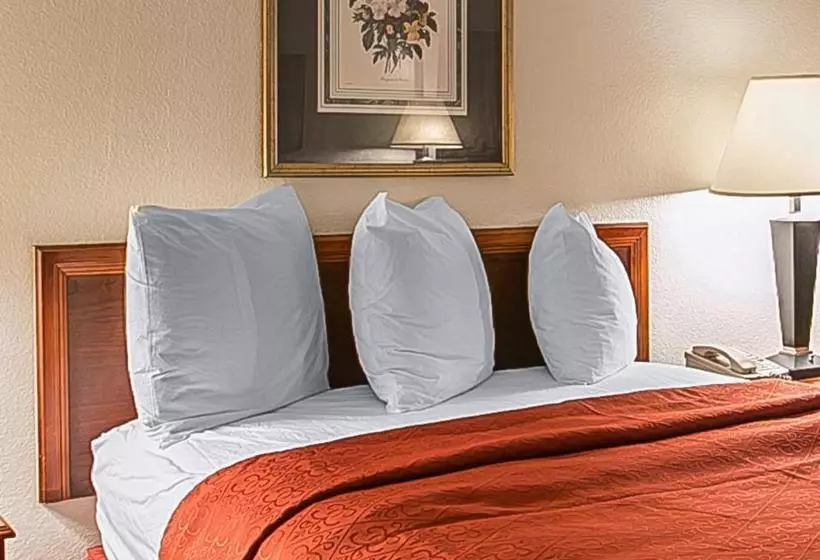 酒店 Medical Center Inn