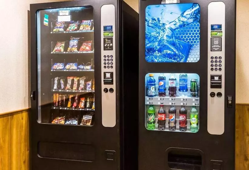 בית מלון כפרי Quaint Inn & Suites