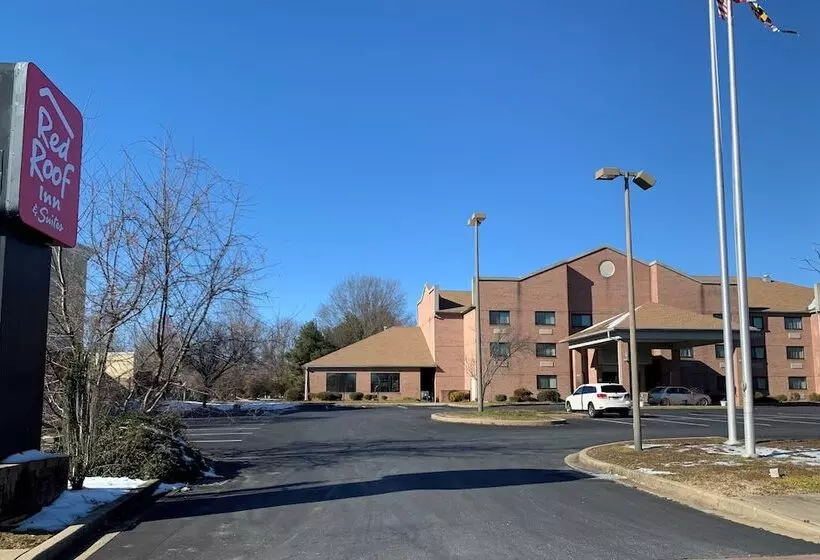בית מלון כפרי Red Roof Inn & Suites Chestertown