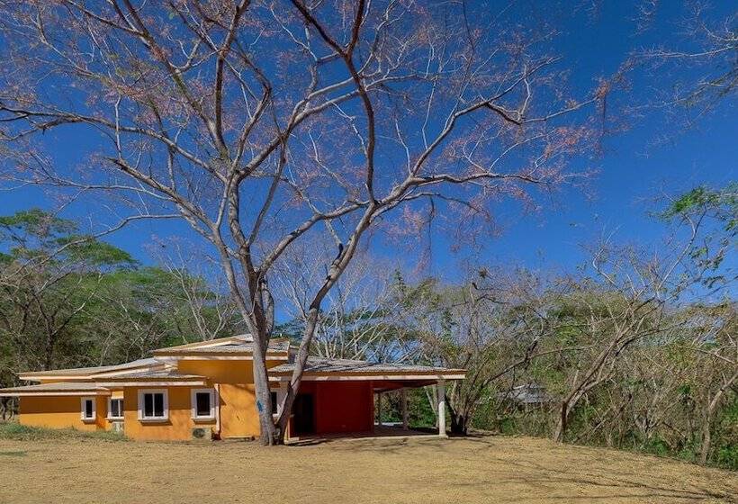 ホテル Villas Roma Del Mar