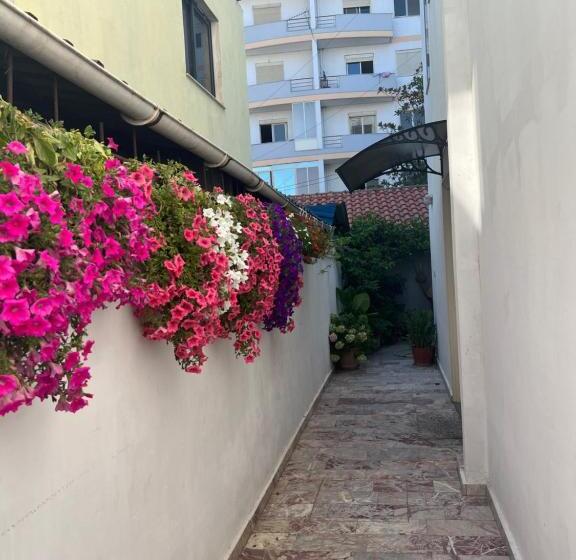 پانسیون Guesthouse Cami