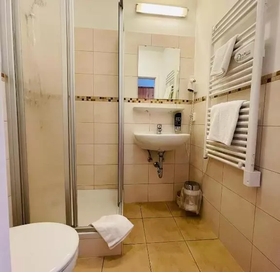 ユースホステル Gaststätte Brauhaus Zwickau Gmbh