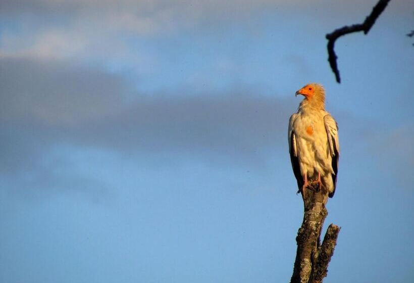تختخواب و صبحانه Gîte De Llo