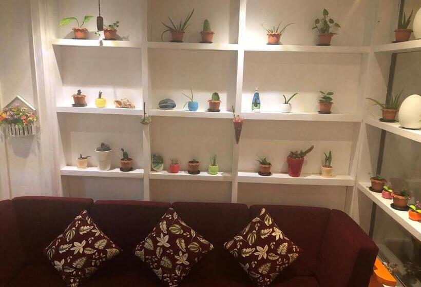 پانسیون Niu Inn & Spa