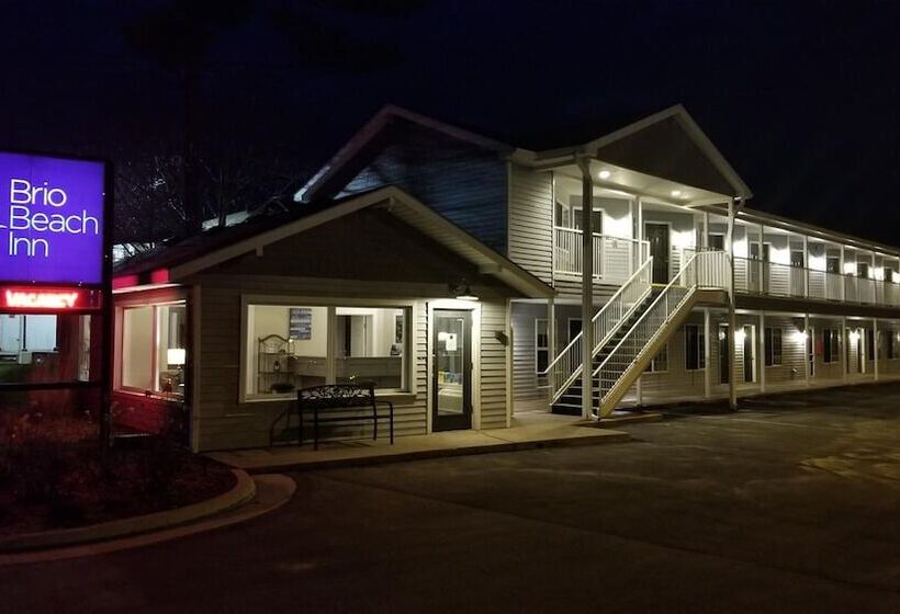 Общежитие Brio Beach Inn