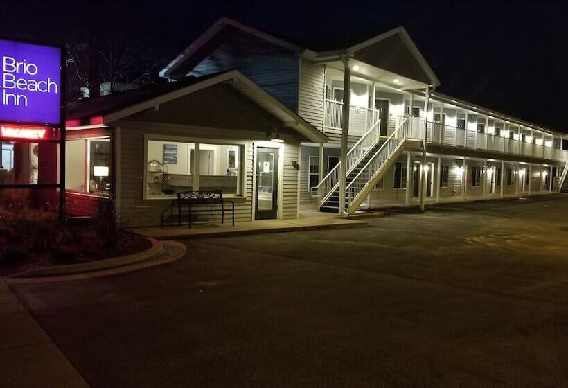 Общежитие Brio Beach Inn