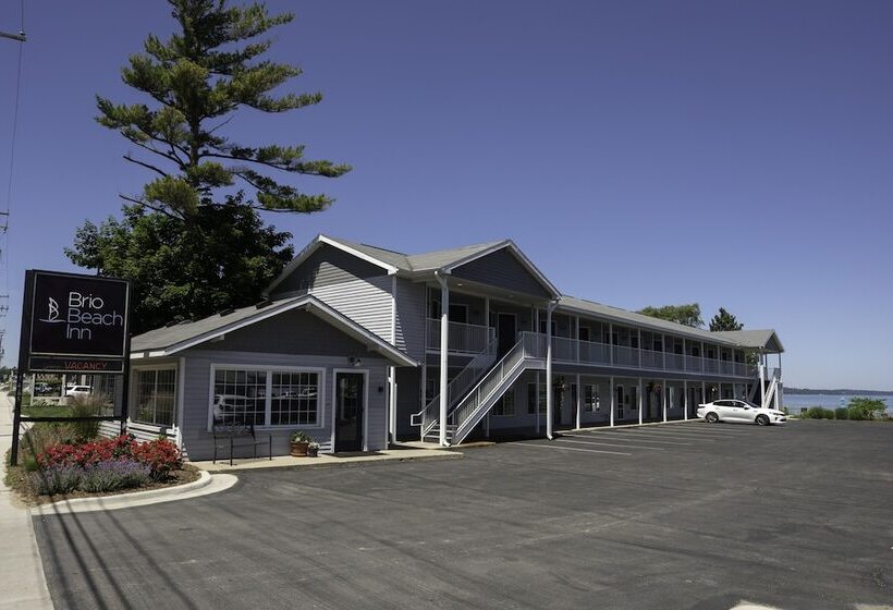 Общежитие Brio Beach Inn