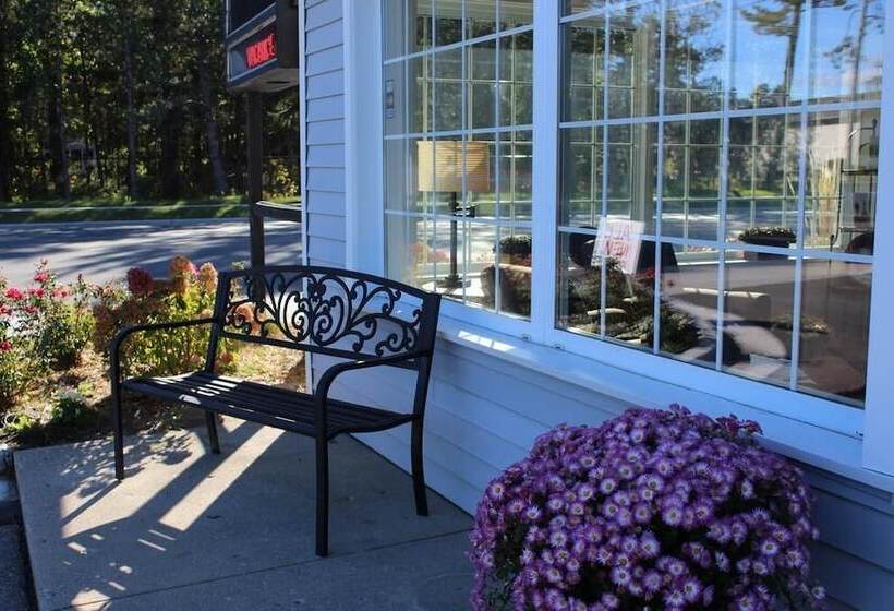 Общежитие Brio Beach Inn