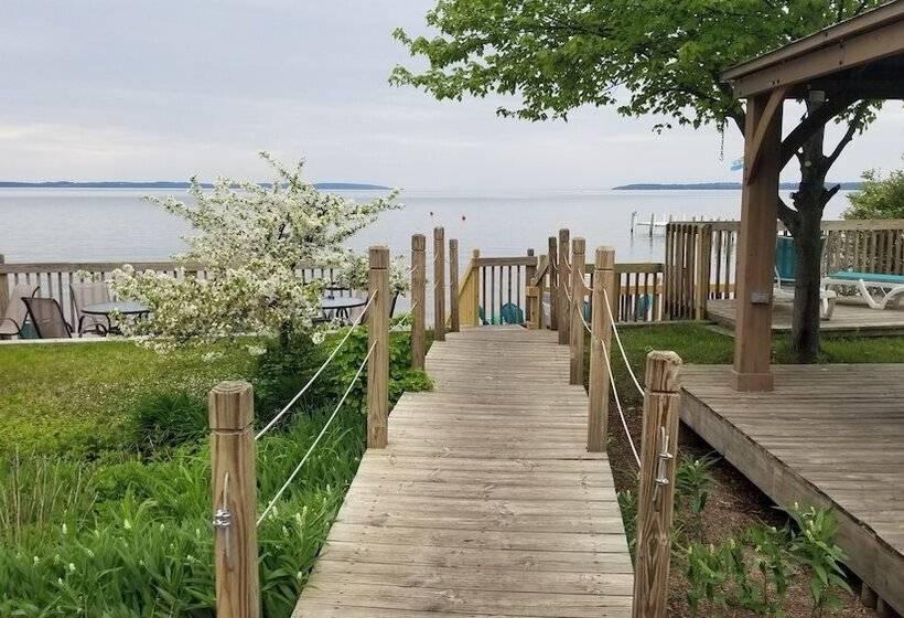 Общежитие Brio Beach Inn