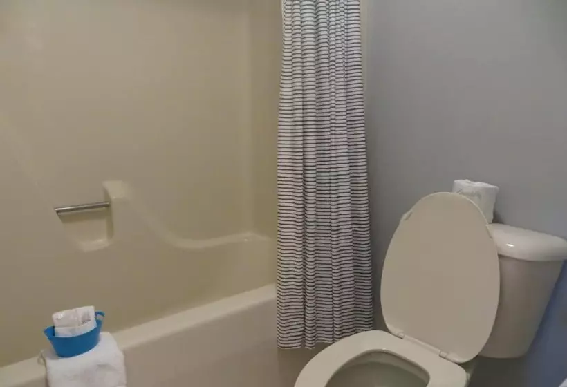 ユースホステル Brio Beach Inn