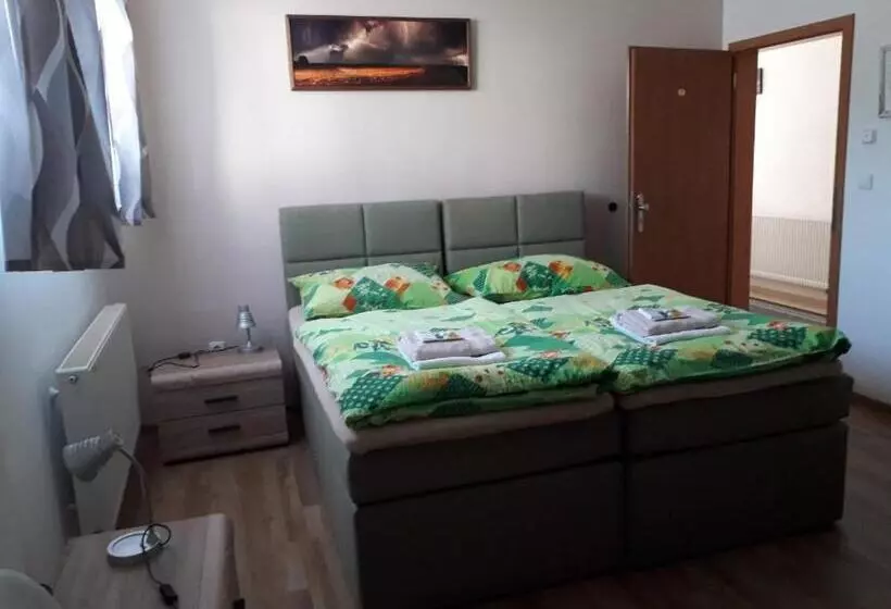 ペンション Penzion Na Hrazi
