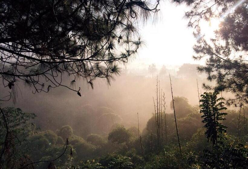 פנסיון Ruth's Bed & Breakfast