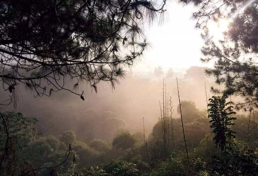 Pensiune Ruth's Bed & Breakfast