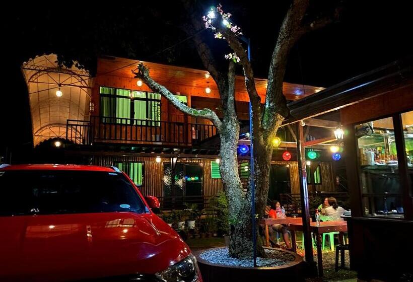 פנסיון Pitaya Native Guest House