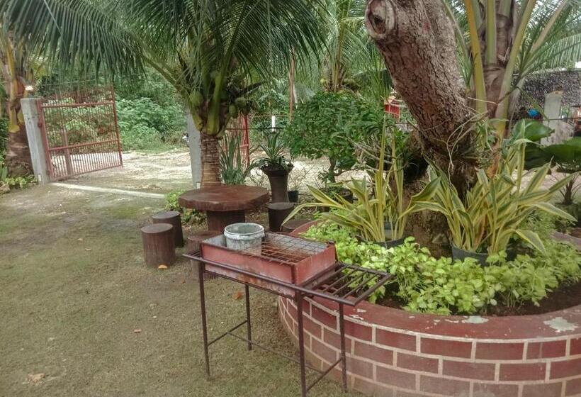 פנסיון Pitaya Native Guest House