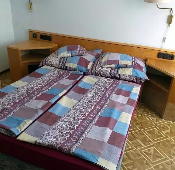 ペンション Szilvió
